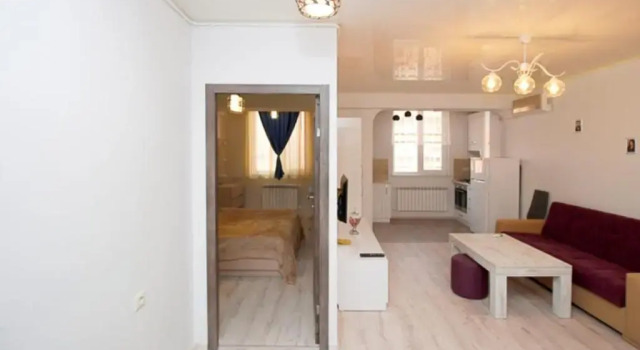 Excellent apartment in the Republic Square.Pushkin3