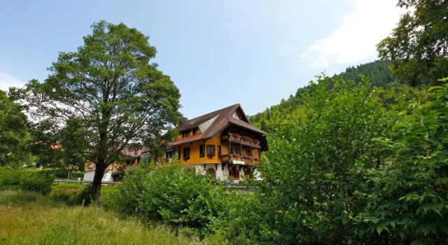 Номер Standard Hotel Gasthaus Hirschen Todtnau Brandenberg Hochschwarzwald Feldberg