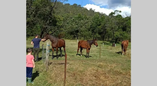 Stylish Country Retreat Wollombi Hunter valley, Забронировать Отель Мандалонг Новый Южный Уэльс