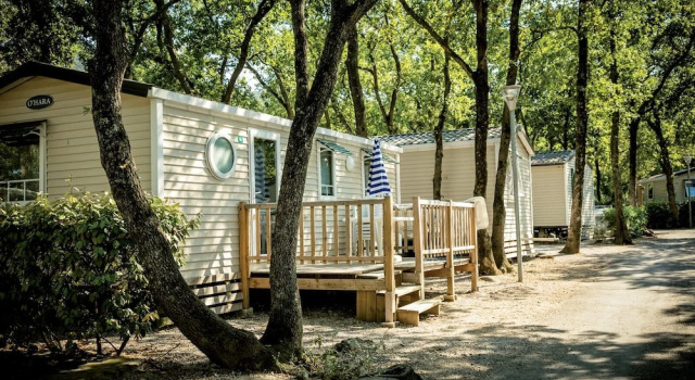 Номер Comfort Lagrange Vacances Camping Le Bois Fleuri