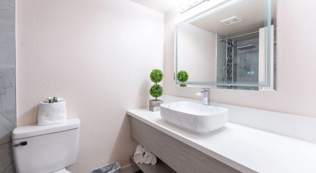 Двухместный люкс Business Hotel Jefe at Ojos Locos