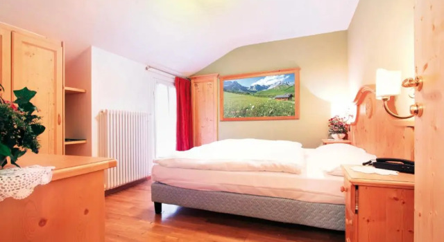 Двухместный номер Convenient Hotel Bellevue
