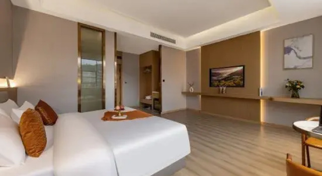 Люкс Deluxe Ba Sha Hotel