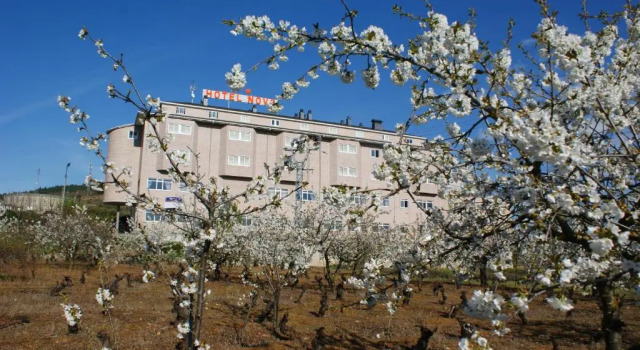 Hotel Novo