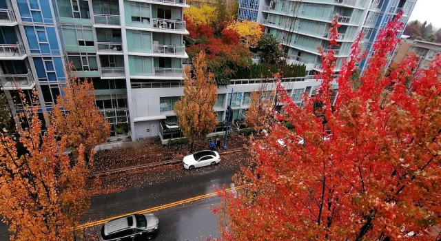 Vancouver Airport Condos