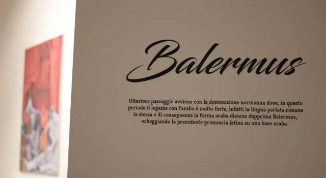 Люкс B&B Gallidoro