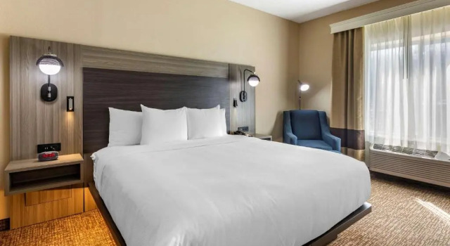 Номер Standard Comfort Inn & Suites North Dallas-Addison