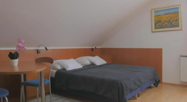 Номер Comfort Pansion Danica