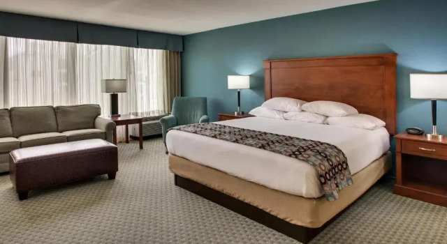 Номер Deluxe Sonesta Essential Houston Hobby Airport