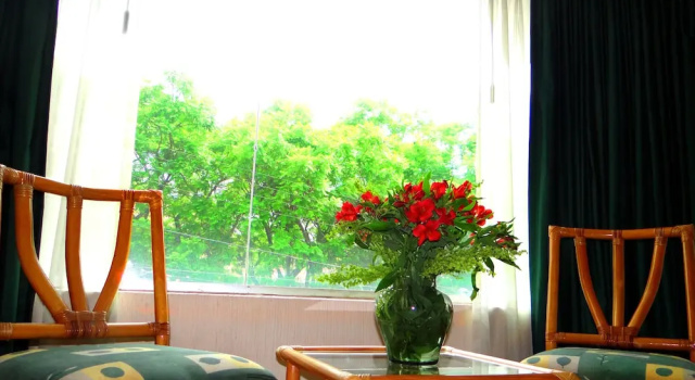 Двухместный номер Executive Oliva Plaza Hotel