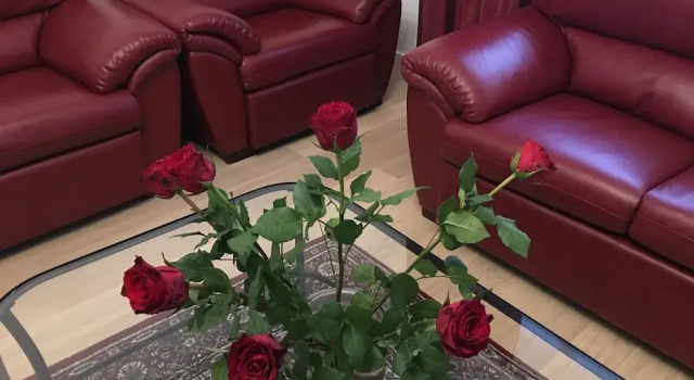 Heart of Vienna Homes, Забронировать Отель Отели Вены 3 звезды, рядом с Бюргертеатр, 3*