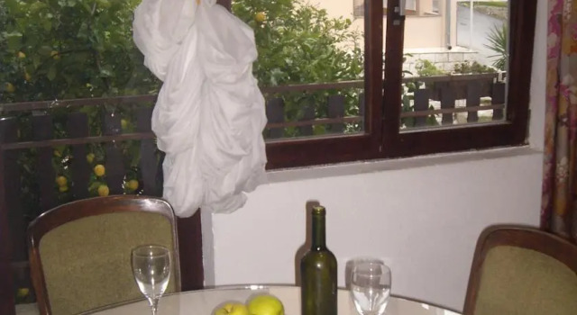 Apartment Divna