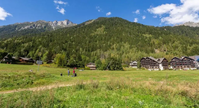 Апартаменты с видом на горы Appartement Lachenal 209a
