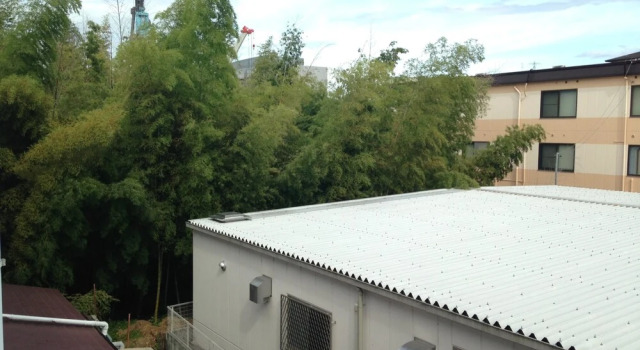 HOTEL Yancha na Koneko -Adults Only