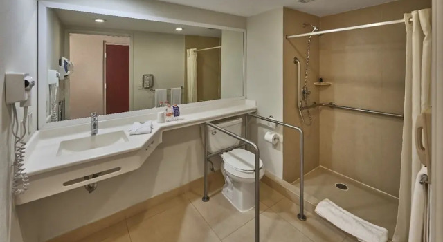 Двухместный номер Superior City Express by Marriott Mazatlan