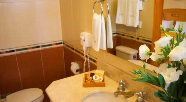 Номер Standard Hotel Puerta Del Sol Guadalajara