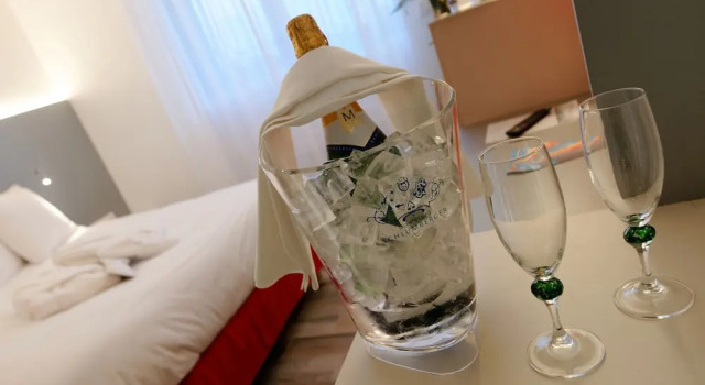 Ayrıcalıklı oda Colmar Hotel
