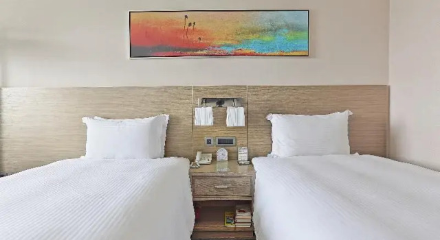 Двухместный номер Executive Santos Hotel