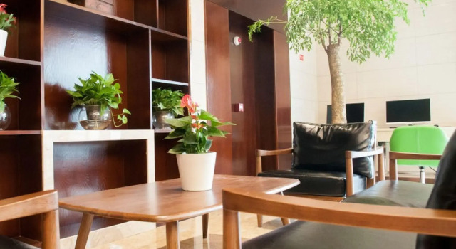 GreenTree Inn Jiaxing Haiyan County Passenger Depot Branch, Rezerwuj Hotel Haiyan Zhejiang