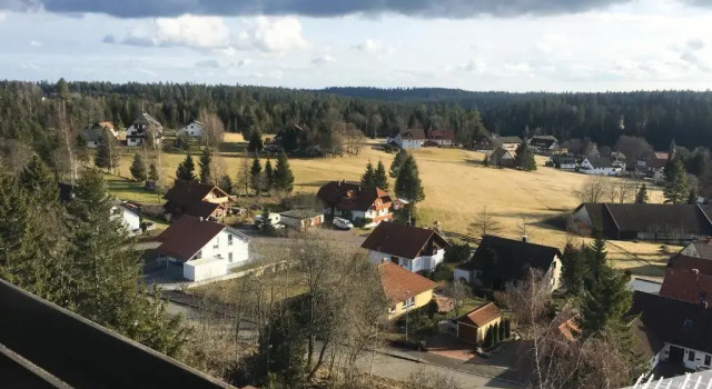 Апартаменты Fewo Nationalpark Schwarzwald