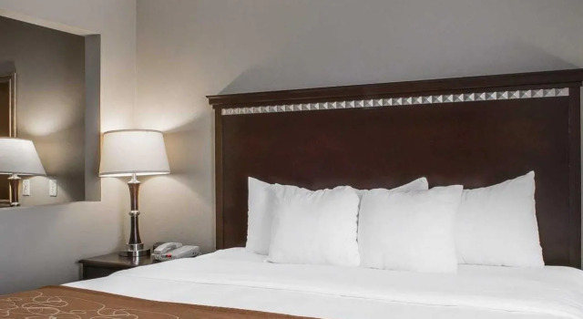 Люкс Comfort Suites Near Texas A&M - Corpus Christi