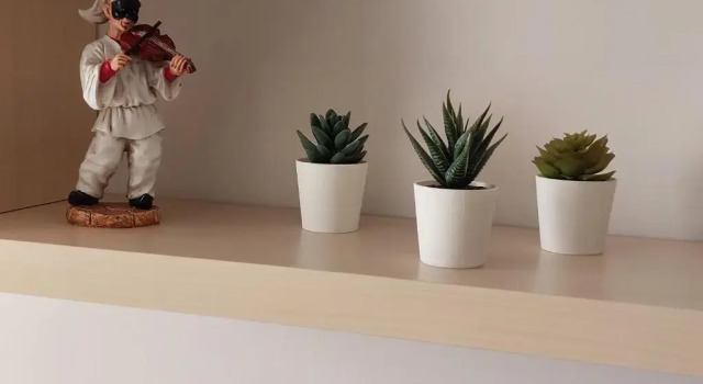 Студия La Preziosa Apartment