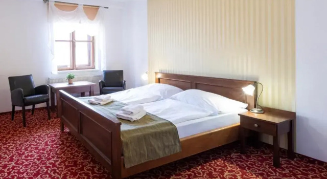 Двухместный номер Standard Hotel U Zlatého kohouta