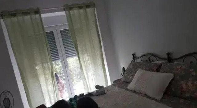 Amore a prima vista b&b, Book Bed and Breakfast Campiglia Marittima Etruscan Coast