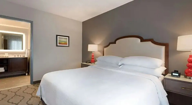 Двухместный люкс Pure Wellness 2-room Embassy Suites by Hilton Chicago Naperville