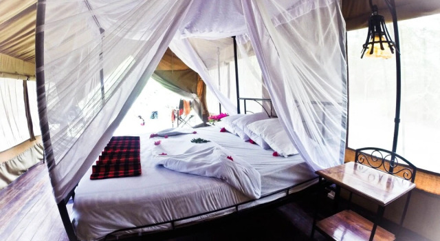 Nsya Lodge