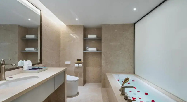 Двухместный люкс Superior Mercure Nantong Downtown
