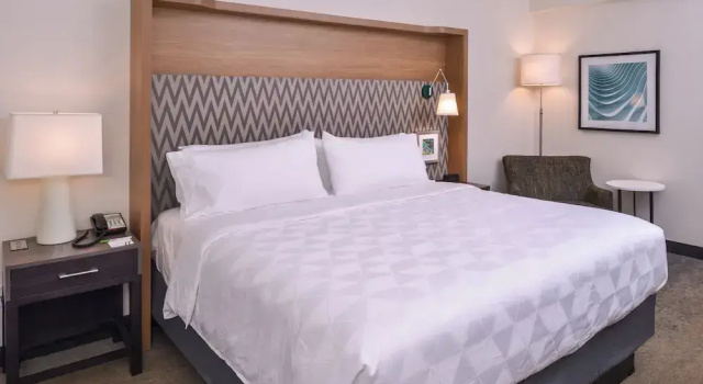 Двухместный люкс Holiday Inn Detroit Northwest - Livonia by IHG