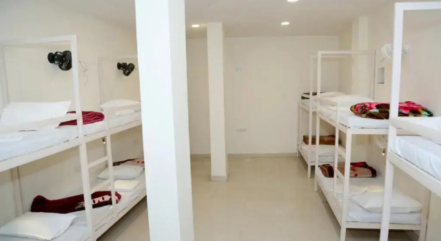 Кровать в общем номере The Charlie's hostel