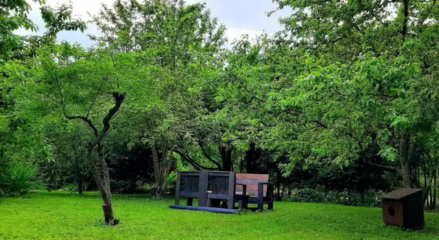 Студия Champêtre Park View Apartments