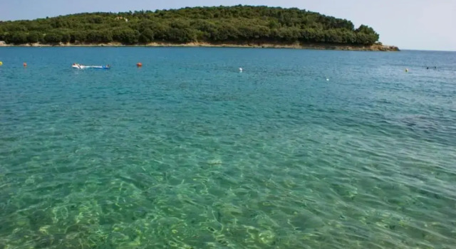 Апартаменты Elegant Apartment in Banjole near Fratarski Otok Island