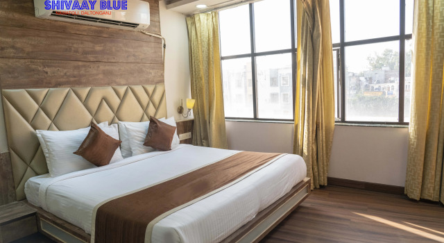 Номер Deluxe Hotel Shivaay Blue