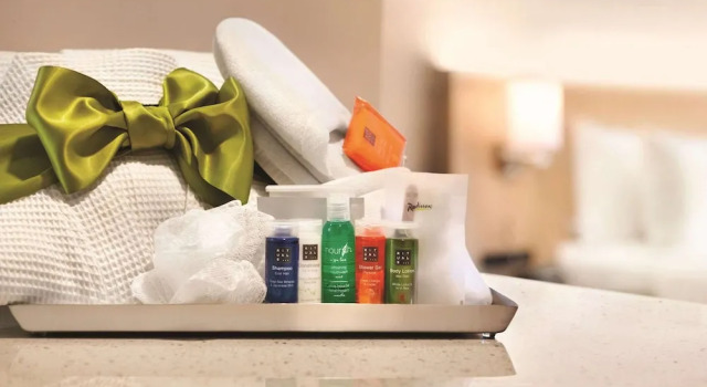 Двухместный номер Standard Radisson Hotel Charlotte Airport