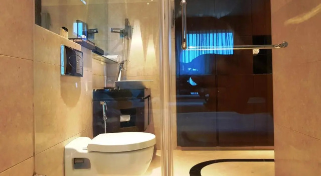 Двухместный номер Superior Vivanta Hyderabad, Begumpet