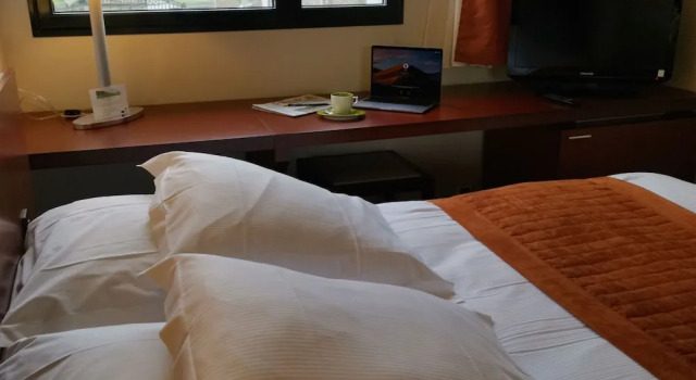 Номер Business Hotel du Casino