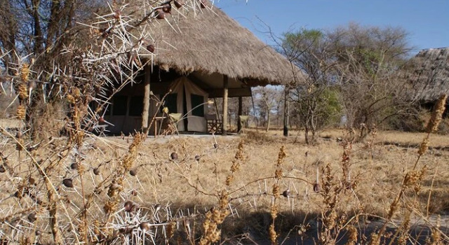 Whistling Thorn Tented Camp, Rezervasyon Otel Arusha Tanzanya