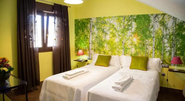 Апартаменты Дуплекс с 3 комнатами Palacio Sirvente Mieres - PARKING GRATUITO