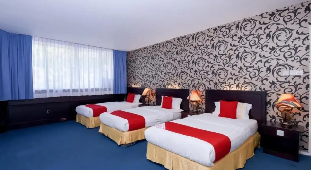 Люкс Superior City Homestay