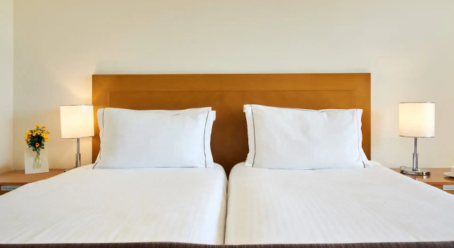 Двухместный номер Standard с видом на море Neptune Luxury Resort