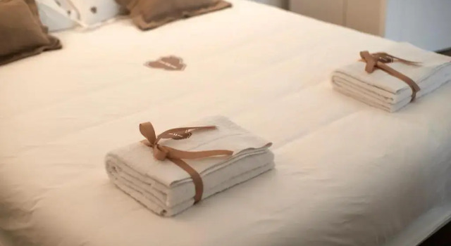 Полулюкс Iulius Suite & spa