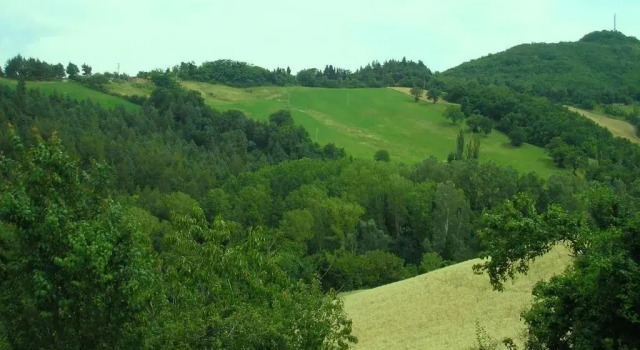 Апартаменты Agriturismo Cà Ferro