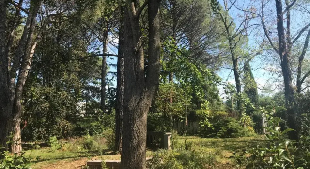 Вилла Peaceful Villa 20 min from sea
