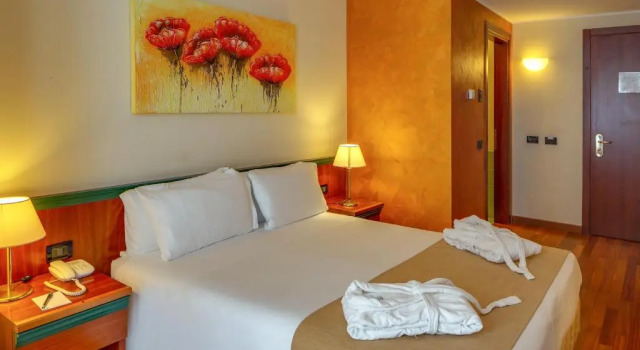 Двухместный номер Hotel Raffaello