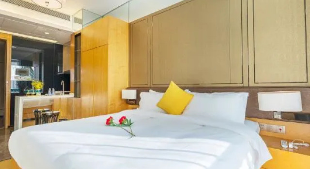 Двухместный номер Superior Nanjing Expo Center Hotel