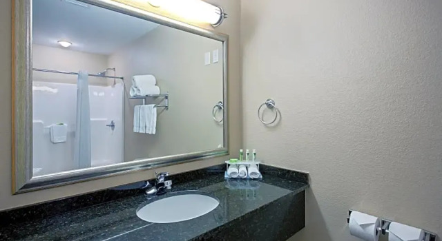 Номер Executive Holiday Inn Express & Suites - Green Bay East by IHG