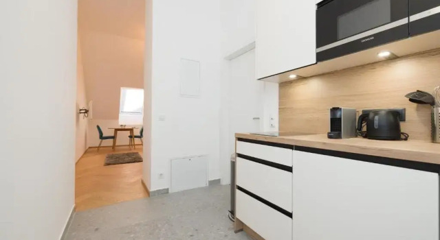 Апартаменты c 1 комнатой Vienna Stay Apartments Schönbrunn
